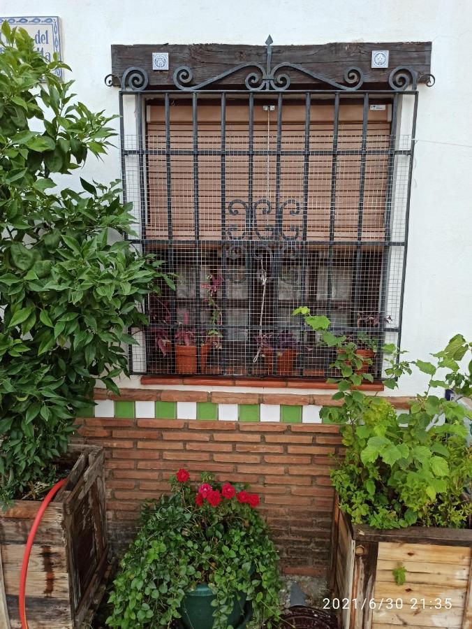 Ferienwohnung La Casita De Paco Albaicin Granada Exterior foto